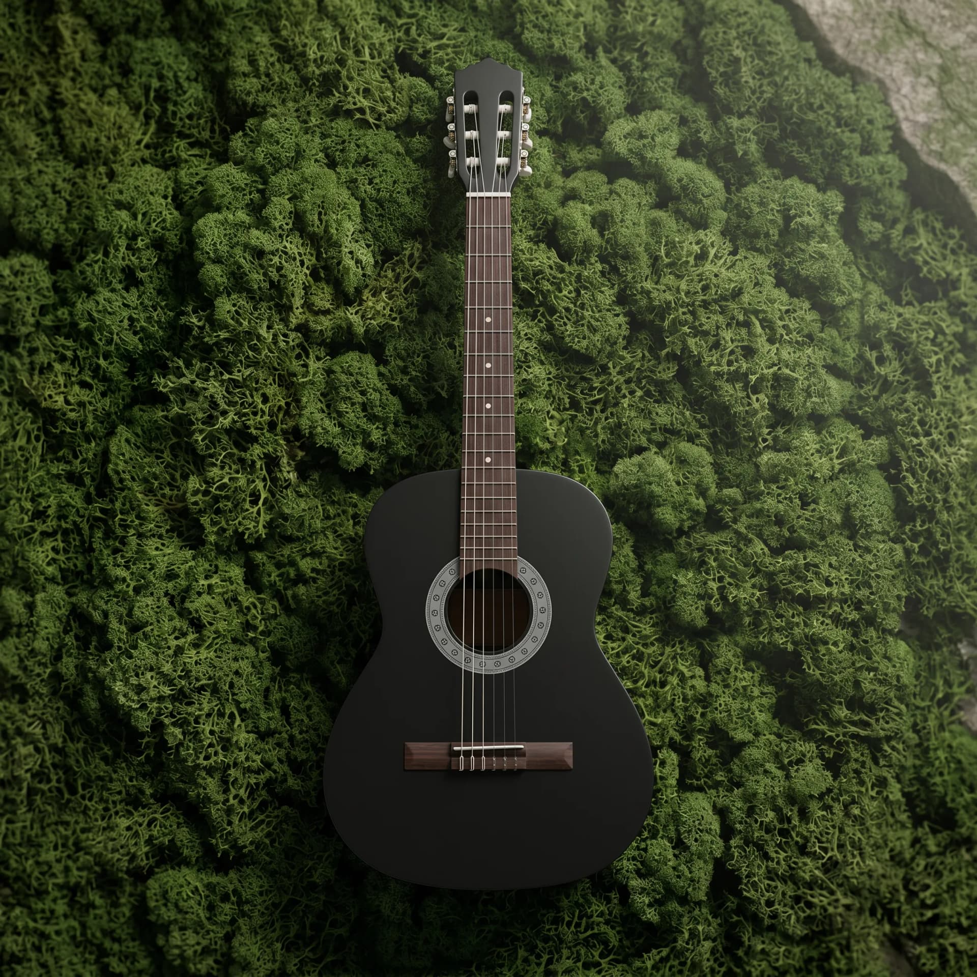 Terris TC-038 BK